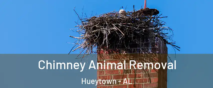  Chimney Animal Removal Hueytown - AL