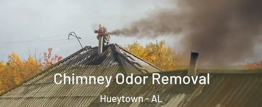  Chimney Odor Removal Hueytown - AL