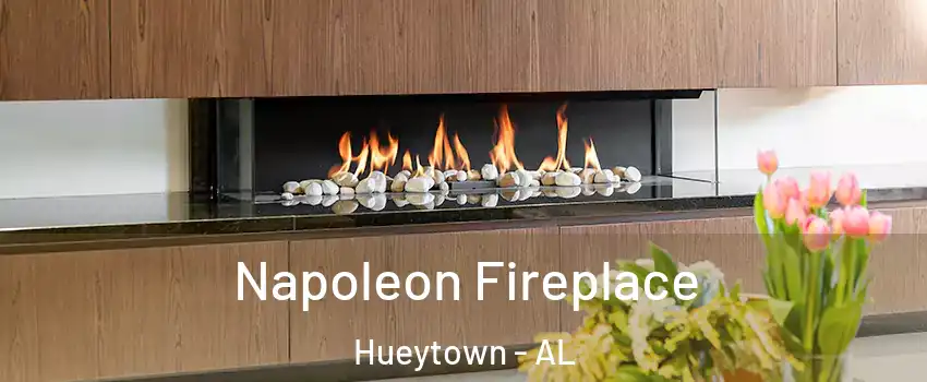  Napoleon Fireplace Hueytown - AL